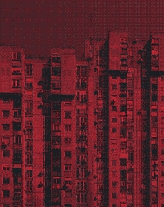 Life in the New